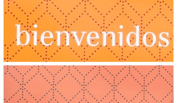 Bienvenidos al blog de psicología y psicoterapia, La palabra maravillosa
